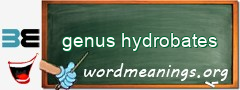 WordMeaning blackboard for genus hydrobates